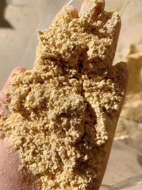 次粉饲料粮