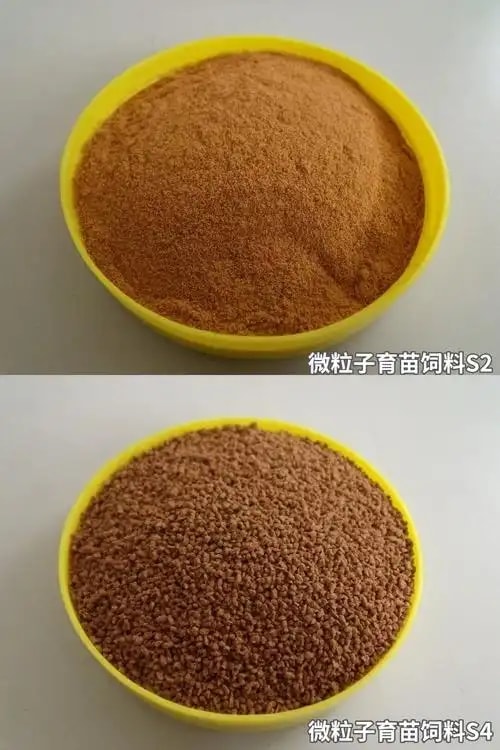 海参配合饲料
