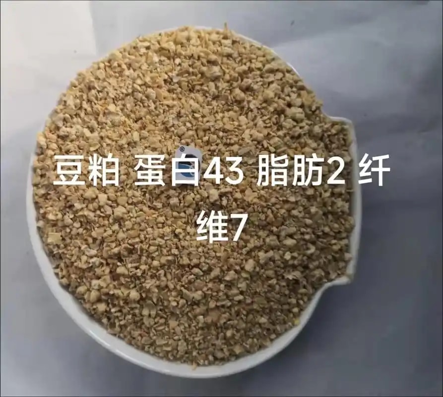 豆粕饲料原料