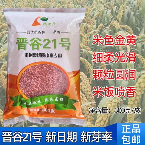 优质谷子