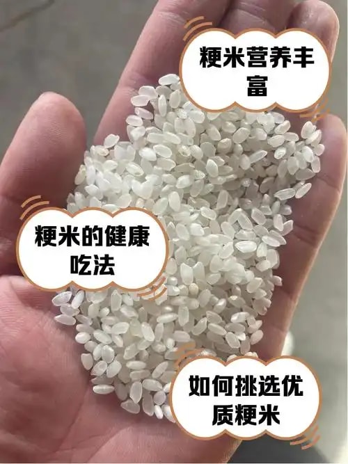 粳稻原粮