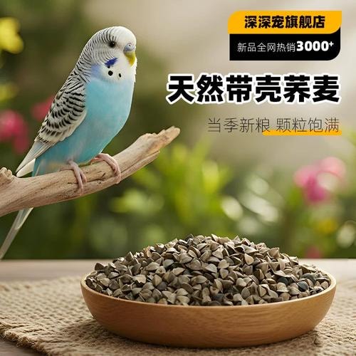 荞麦原粮