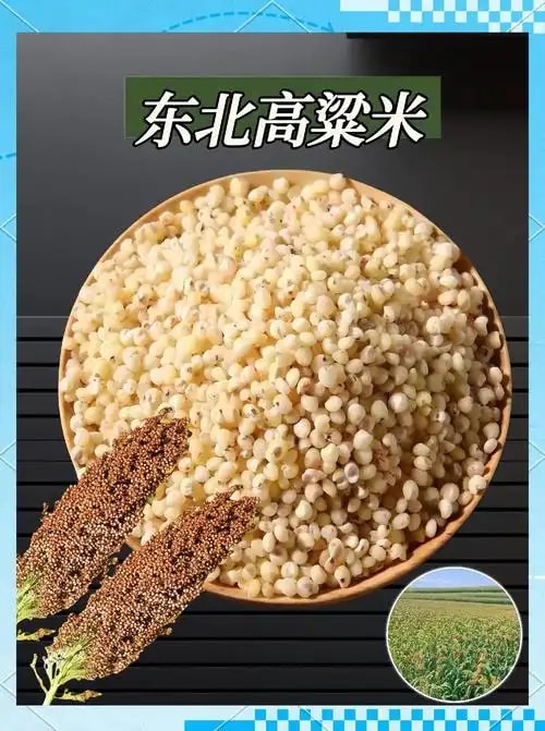 高粱原粮