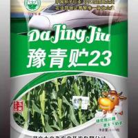 优质水稻种子