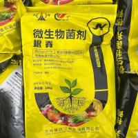 枯草芽孢杆菌菌肥