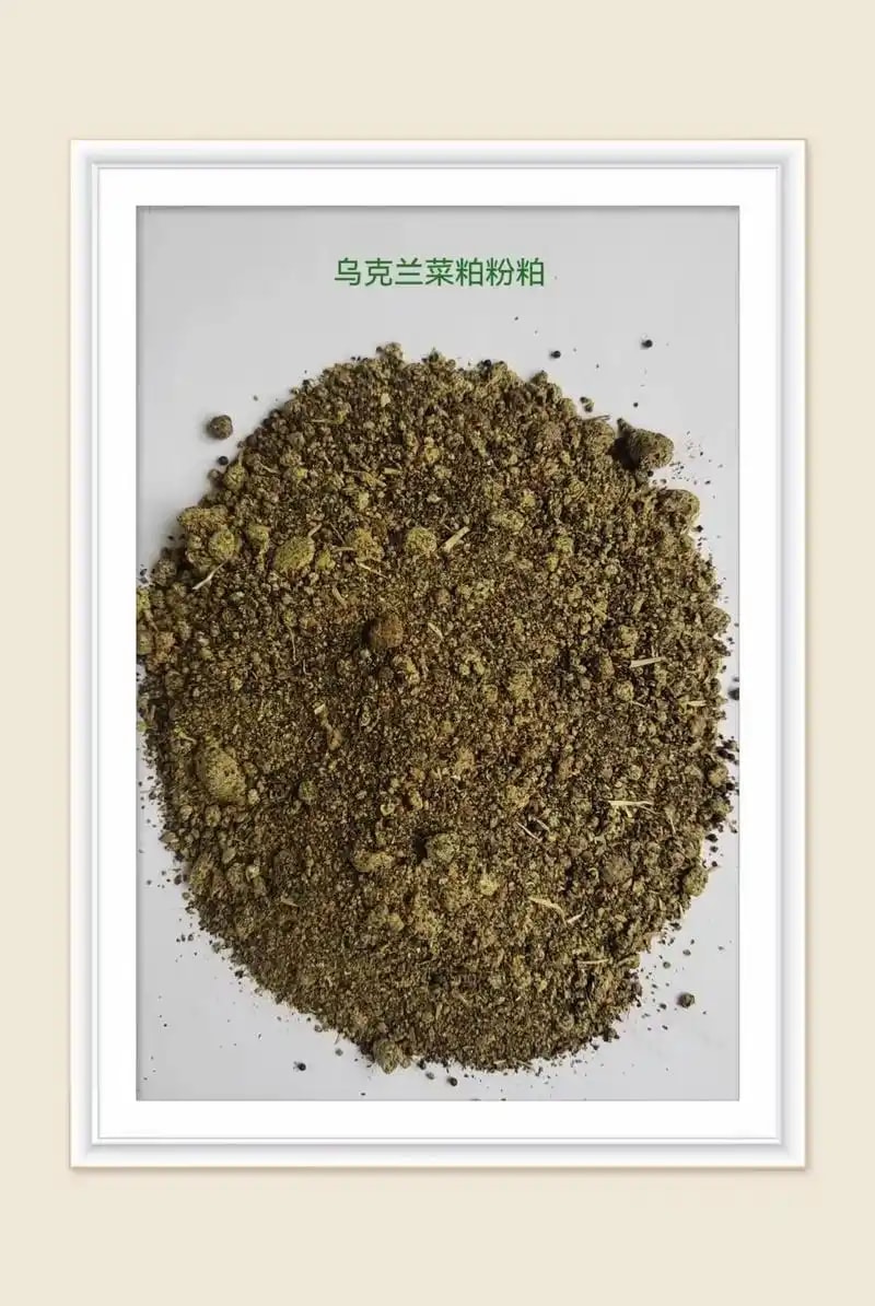 玉米饲料粮