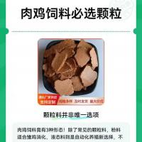 肉羊浓缩料