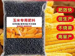 畜牧机械智能化喂养趋势