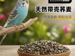 农业机械与智能装备展