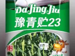 北方原粮贸易对接会