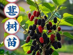 2026春季农资博览会