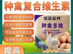 观众预登记说明