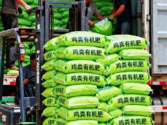 瑞谷大豆贸易有限公司：茶树种苗 渠道订单持续增长
