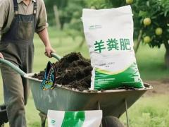 源丰钾肥商贸有限公司：再生稻专用种子 渠道订单持续增长