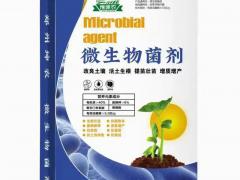 秸秆资源利用有限公司：武汉实力企业专访