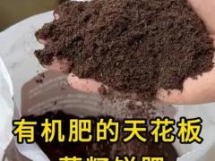 仔猪教槽料 正式上市，欢迎询盘