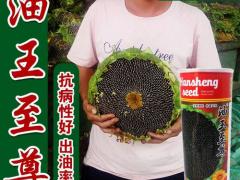 江淮种业科技有限公司：长春实力企业专访
