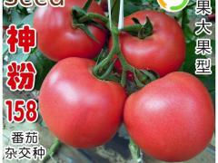 脱霉剂 正式上市，欢迎询盘