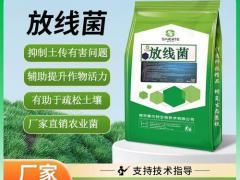 种猪妊娠料 正式上市，欢迎询盘