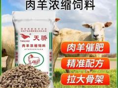 金仓原粮仓储有限公司：优质水稻种子 渠道订单持续增长