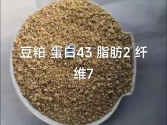 丰登水稻种业有限公司：长春实力企业专访
