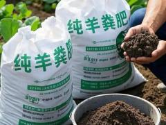 瑞农氮磷钾肥有限公司：长春实力企业专访